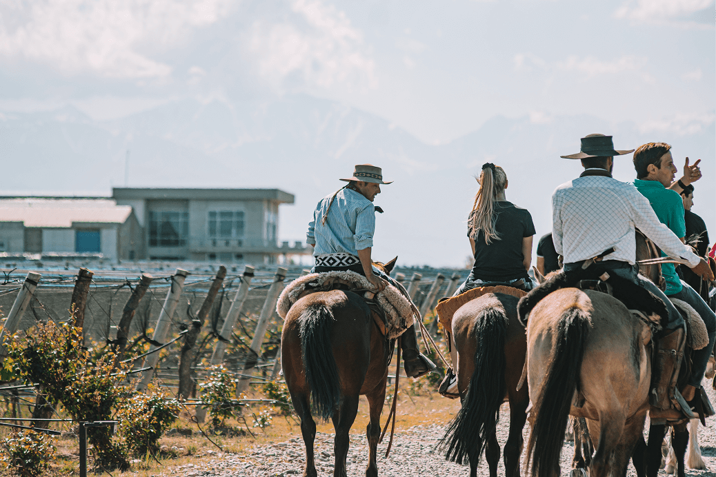 7.6102022-IMG_0335 1