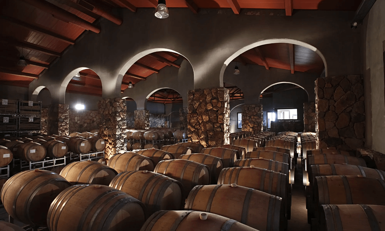 Copia de De-Cero-0001 1