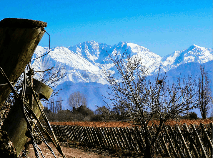 hector-ramon-perez-aYxsFoBwb1M-unsplash 1 1